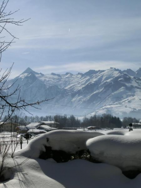 Отель Haus Südblick, Целль-Ам-Зее